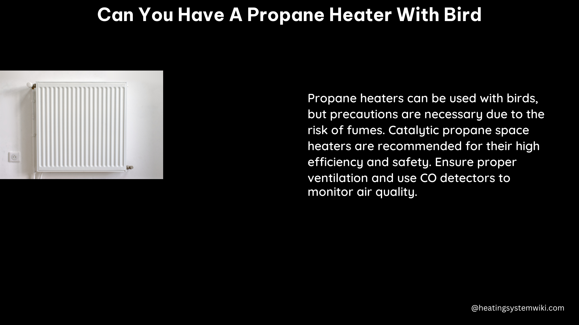 can you have a propane heater with bird