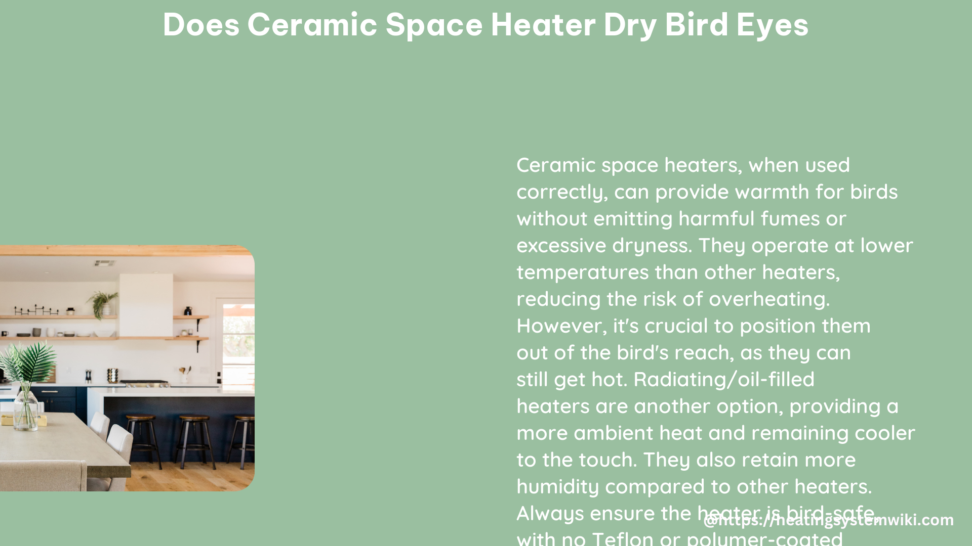 does ceramic space heater dry bird eyes