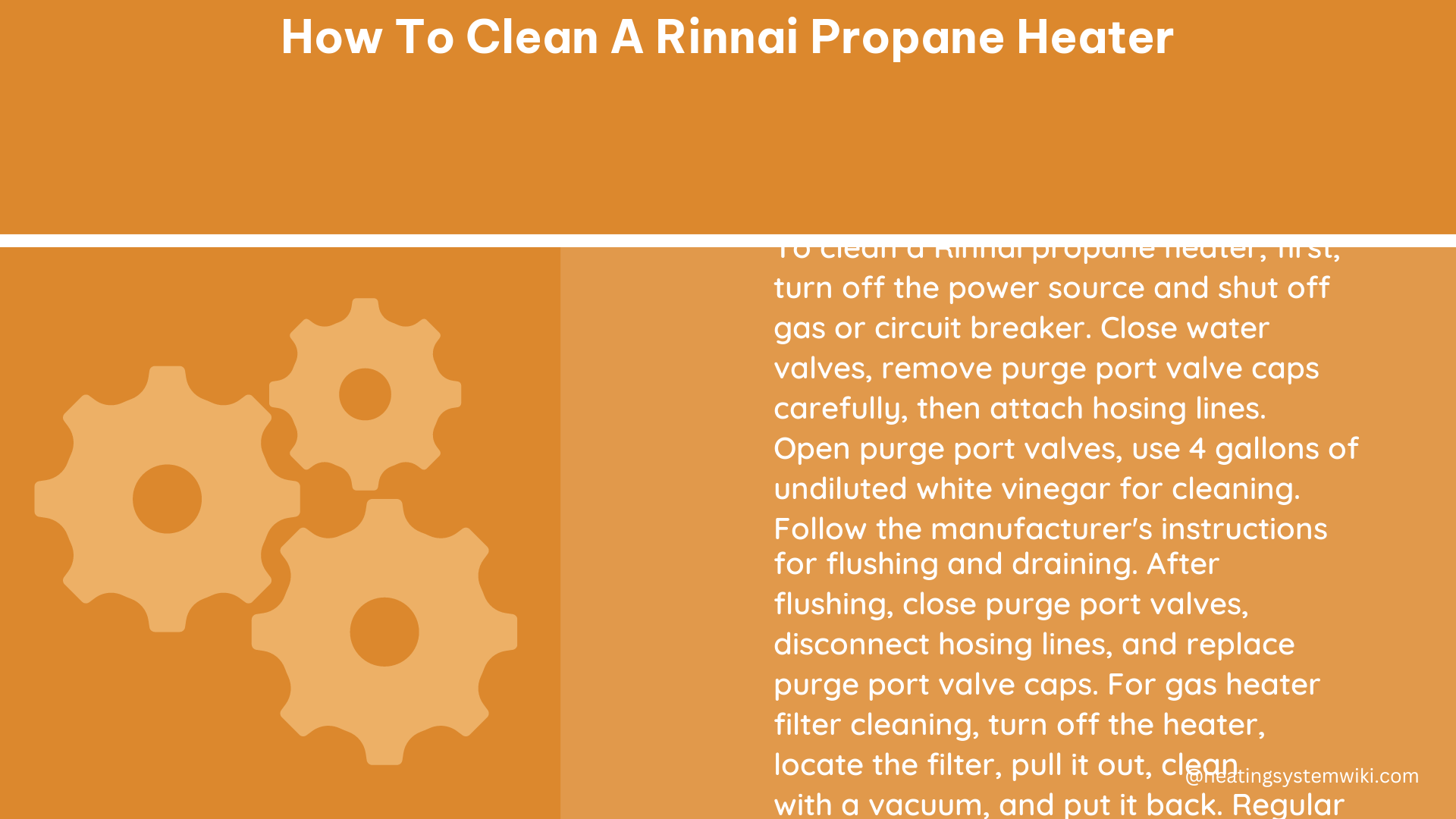 how to clean a rinnai propane heater