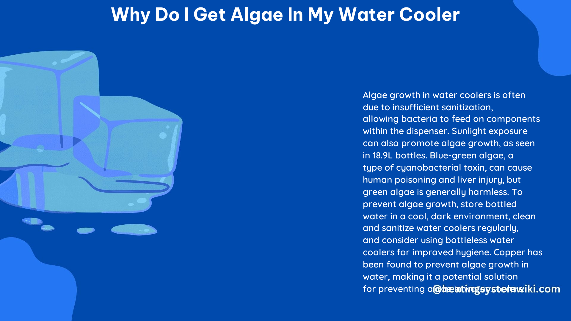 Why Do I Get Algae in My Water Cooler