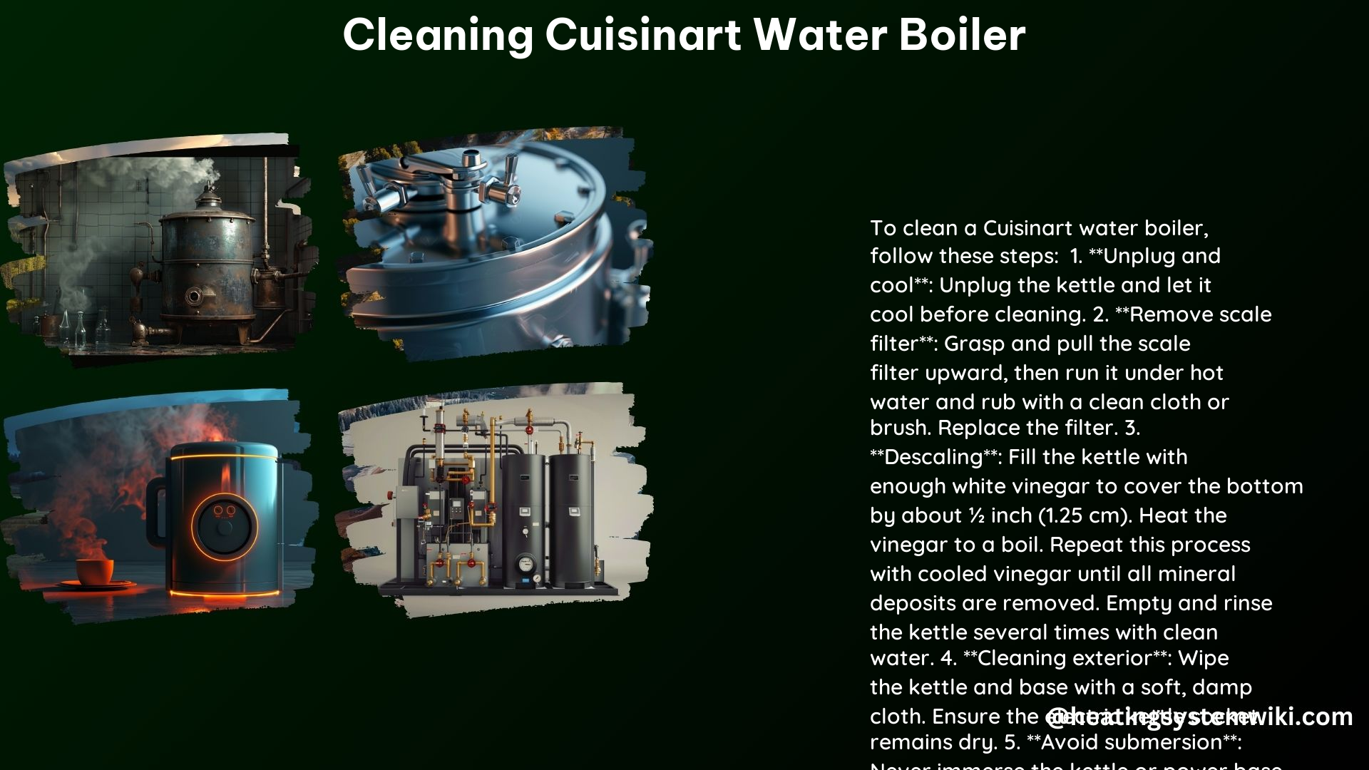 Cleaning Cuisinart Water Boiler