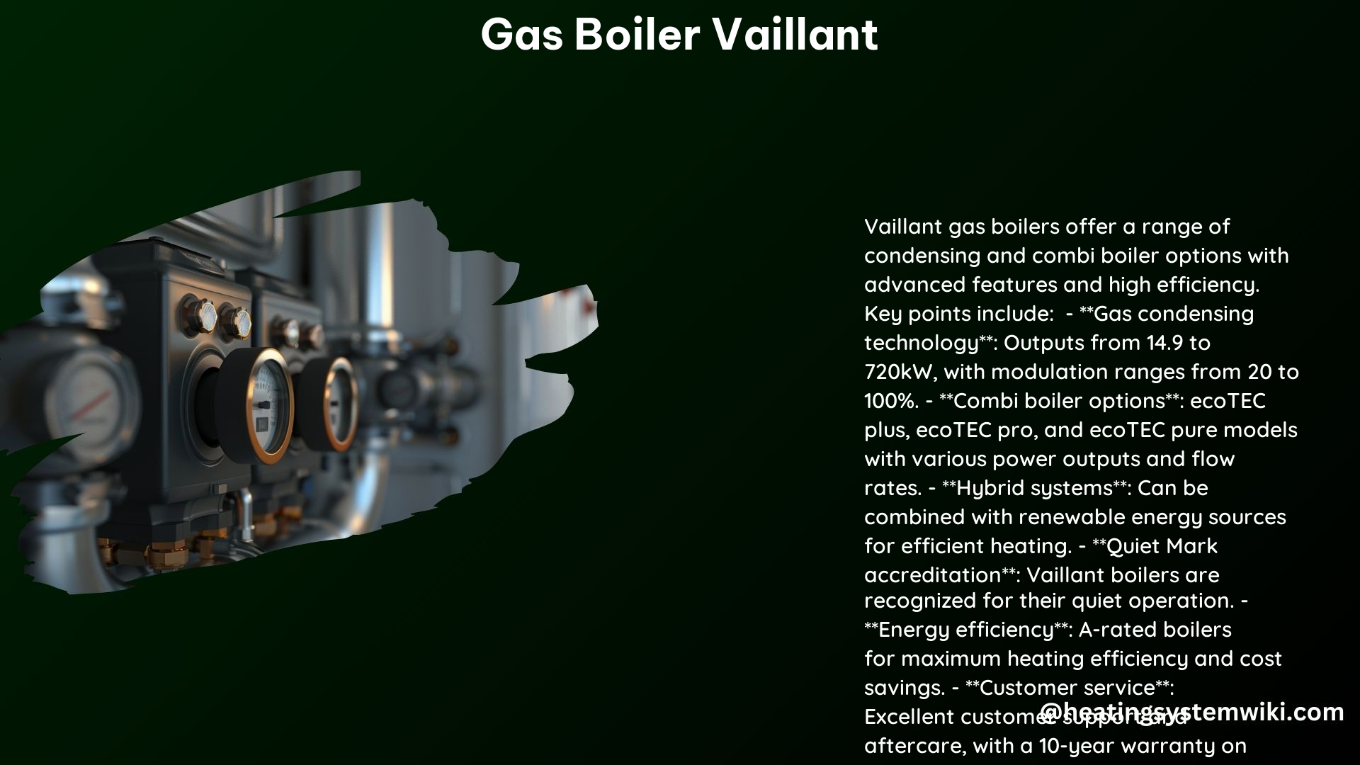 Gas Boiler Vaillant