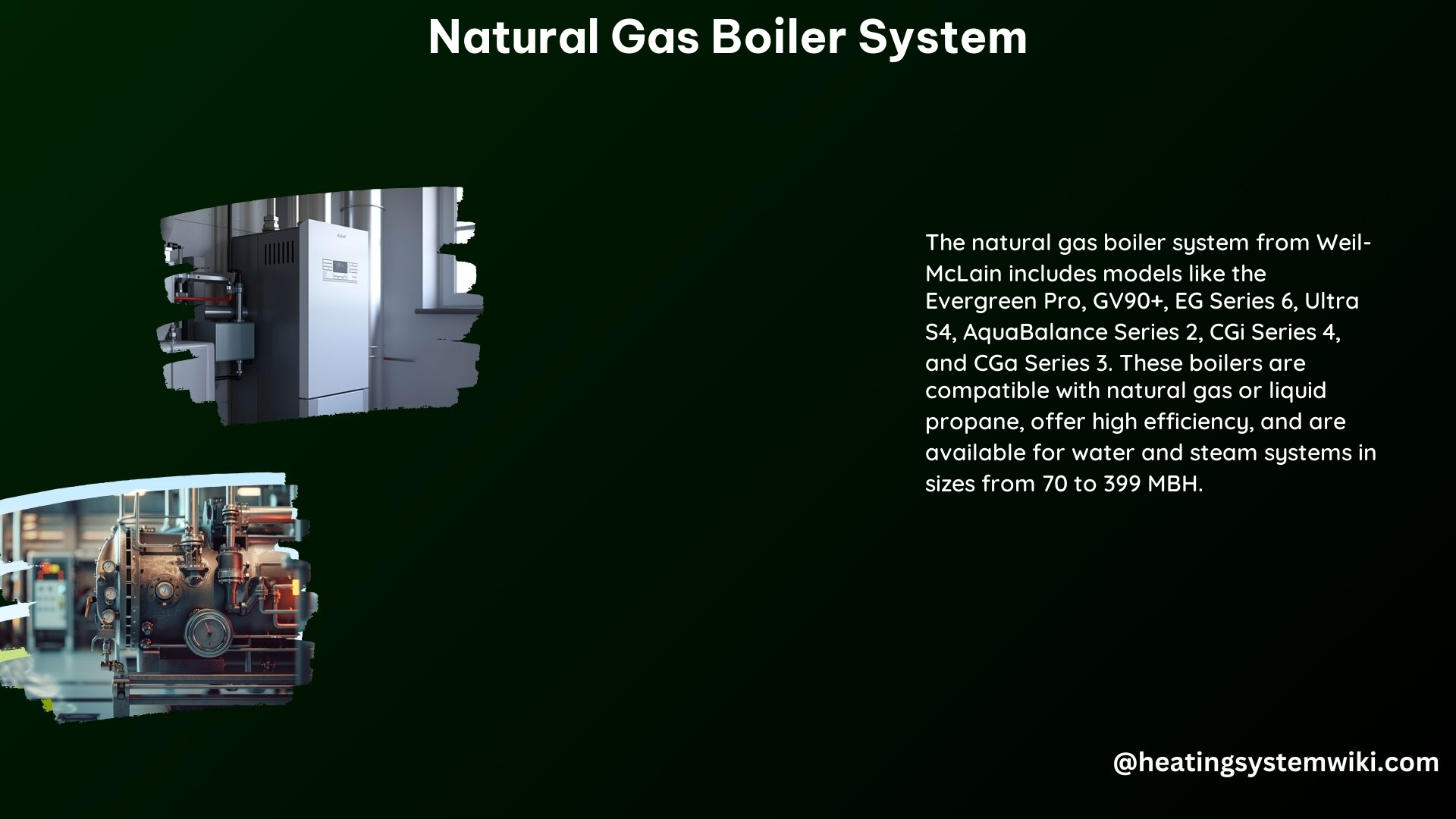 Natural Gas Boiler System