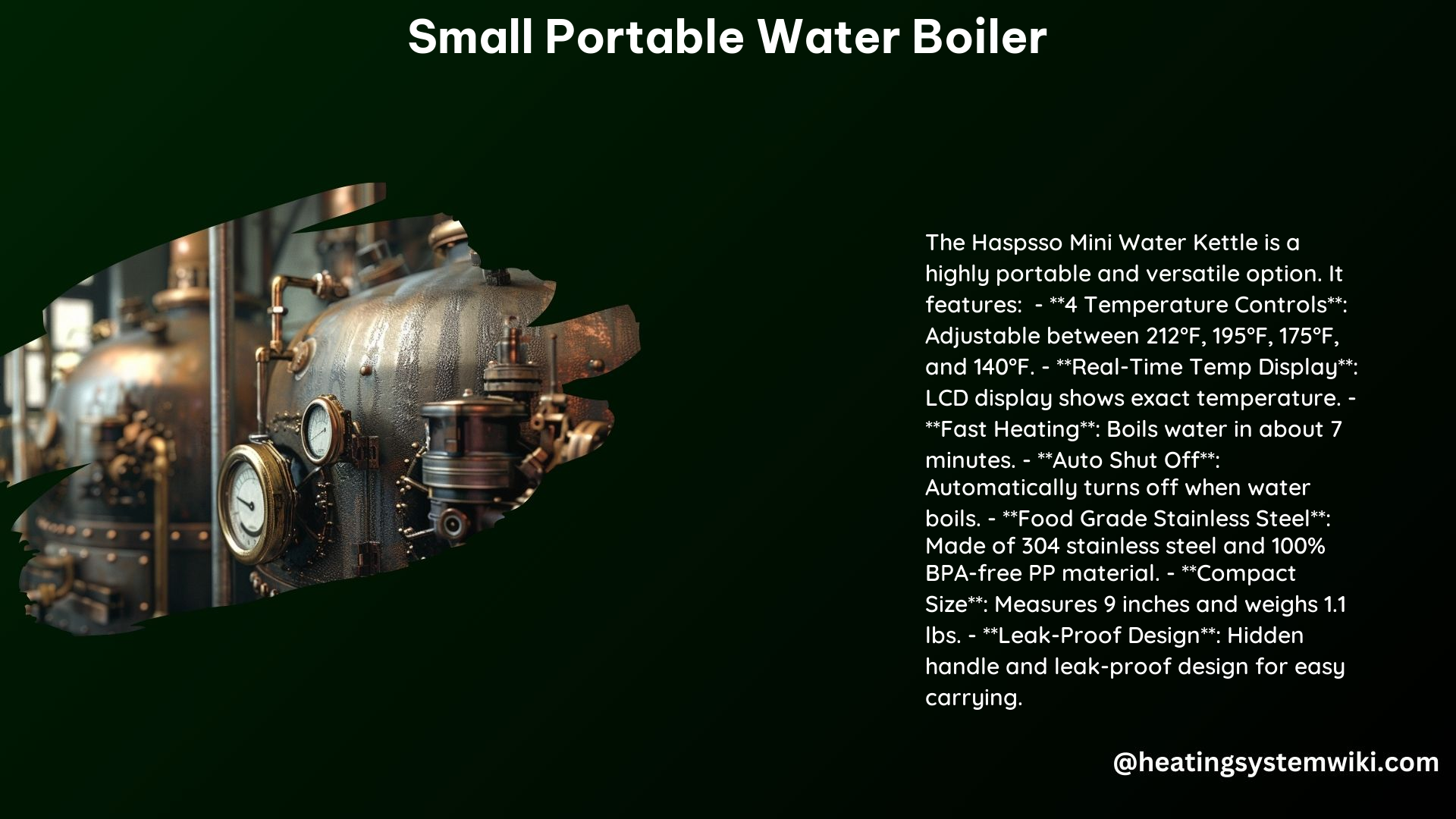 Small Portable Water Boiler