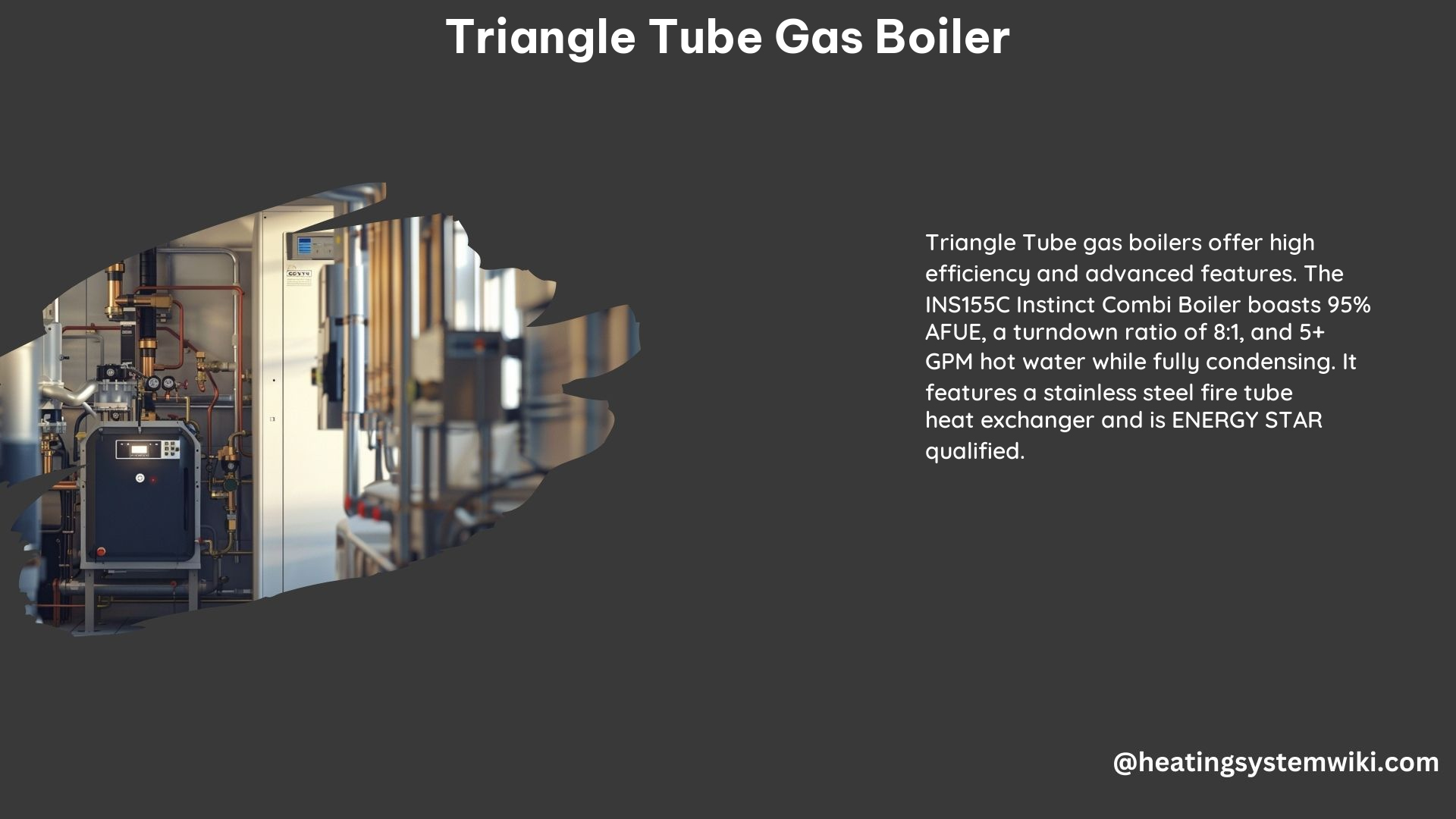 Triangle Tube Gas Boiler