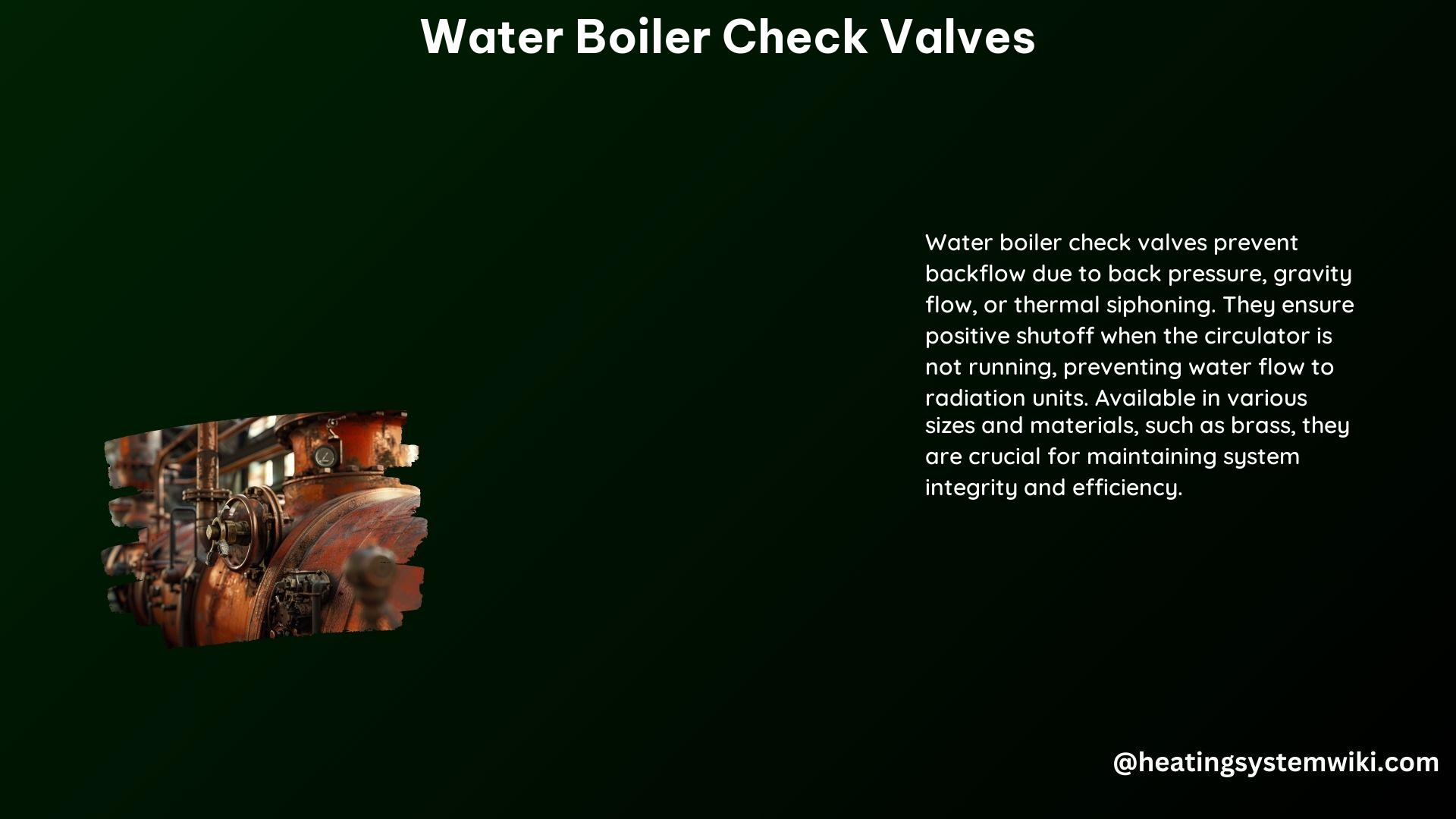 Water Boiler Check Valves